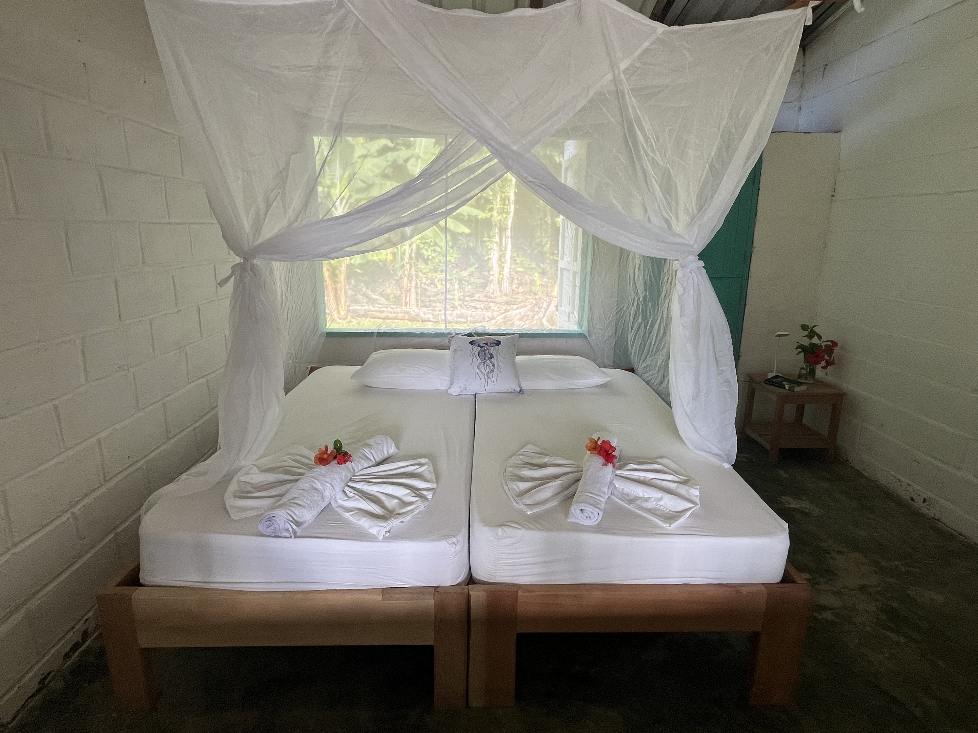Habitacion